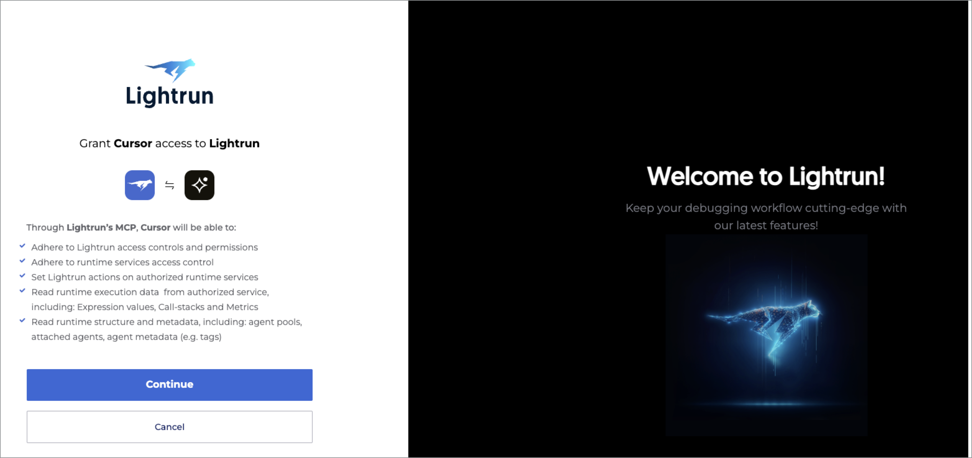 Lightrun Connectivity terms