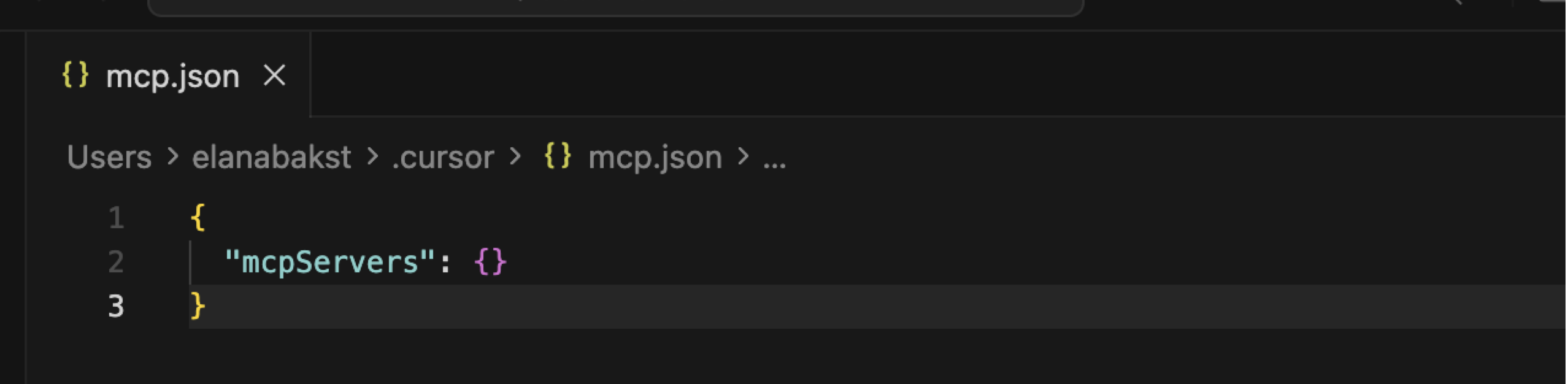 MCP JSON format