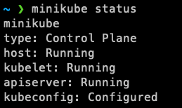 Minikube status message